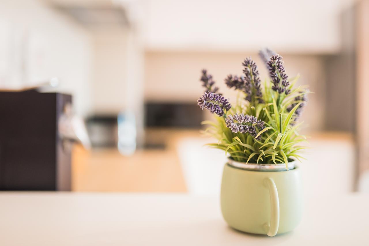 קלוז'-נאפוקה Zen Residential Apartments מראה חיצוני תמונה
